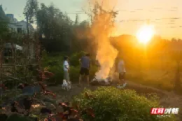 桃花源里，秸秆有了新去处