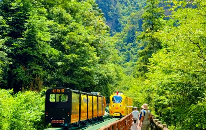 秋染十里画廊｜坐着12生肖观光电车，闯入张家界峰林童话