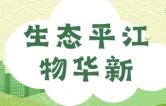 生态平江物华新㉗丨德鑫公司：一片竹海富了一方人，生态资源变“硬通货”