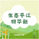 生态平江物华新㉗丨德鑫公司:一片竹海富了一方人,生态资源变“硬通货”