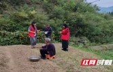 永顺县灵溪镇：“人防+技防”联动 织密秸秆禁烧“防护网”