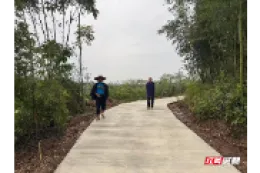 桃源剪市镇：泥路换新颜 暖心入户路通向老兵家