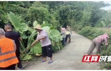 中国联通湘西州分公司：驻村修缮产业便民路 护航秋收助丰收