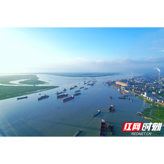 “六网”筑三湘丨湖南岳阳前瞻推进“六张网”建设