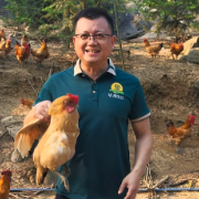 绿色印记,岁月沉香丨养足180天,扫码看鸡跑过哪片山——唐剑斌和他的绿色食品“信任账本”