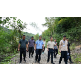 生态修复竟致林地损坏 省第四生态环境保护督察组赴北湖区开展信访核查