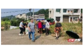 秸秆别烧！桃江县鸬鹚渡镇喊你来换有机肥，2300余户农户从中受益