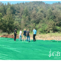 湘乡市龙洞水库库尾堆放不明固废,生态环境部门立案查处