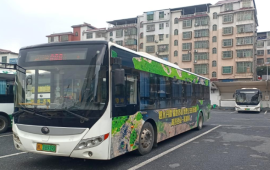 免费乘车！郴州两条旅游专线直达景区