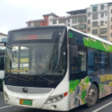 免费乘车!郴州两条旅游专线直达景区