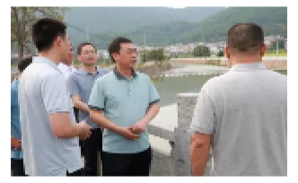 新田：黄永英调研生态环境突出问题整改工作