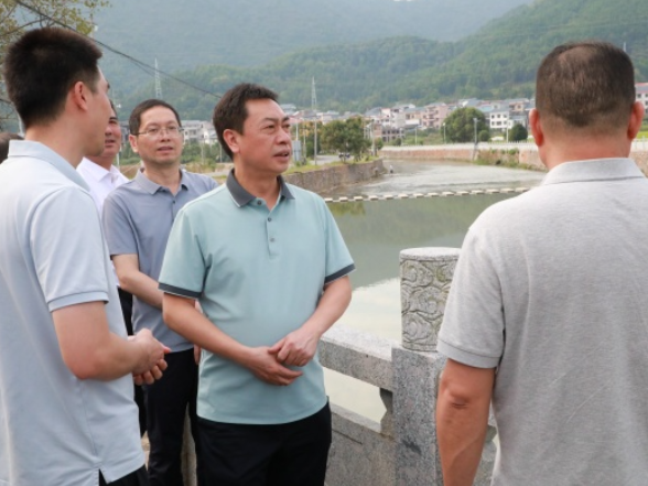 新田：黄永英调研生态环境突出问题整改工作