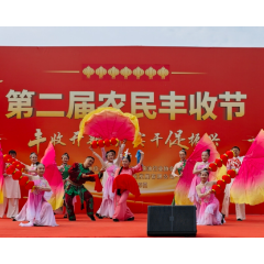 快讯丨稻浪翻涌庆丰收 苗乡实干促振兴——第二届麻阳农民丰收节启幕