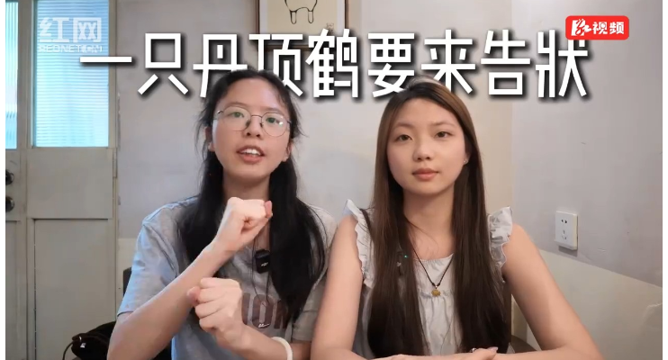 青年有看法｜丹顶鹤为什么要“告状”？