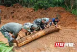 桂东县清泉镇：隐患排查与清障重建同步推进