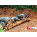 桂东县清泉镇：隐患排查与清障重建同步推进