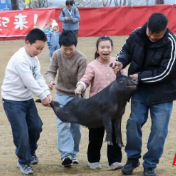 陶瓷产值超800亿的瓷都,为什么要陪年轻人“抓猪捡瓷器”?
