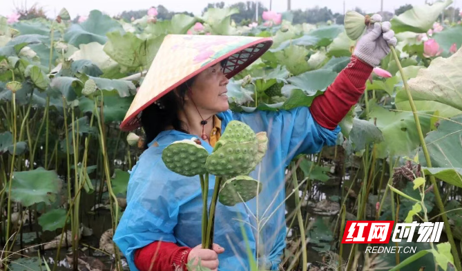 微信图片_20260914175754_1138_3.png