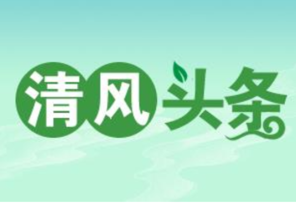 清风头条丨国网双牌县供电公司:铁腕整治顽疾 清除营商环境“绊脚石”