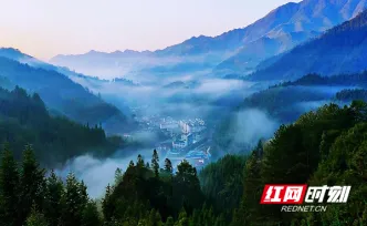 以“舍”换“得”生态兴 桂东县青山乡“护山、清河、守绿”