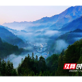 以“舍”换“得”生态兴 桂东县青山乡“护山、清河、守绿”