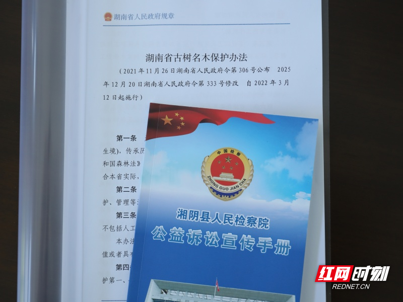 JY1A4882.JPG