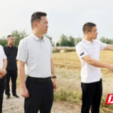 陈淼调研秸秆综合利用和禁烧工作