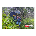 桂东县：雨夜生险象 转移护苍生