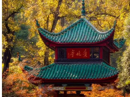 长沙，全国赏秋热门目的地TOP1