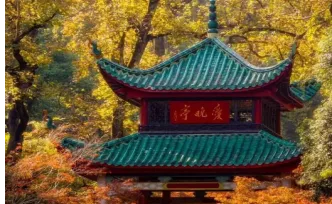 长沙，全国赏秋热门目的地TOP1