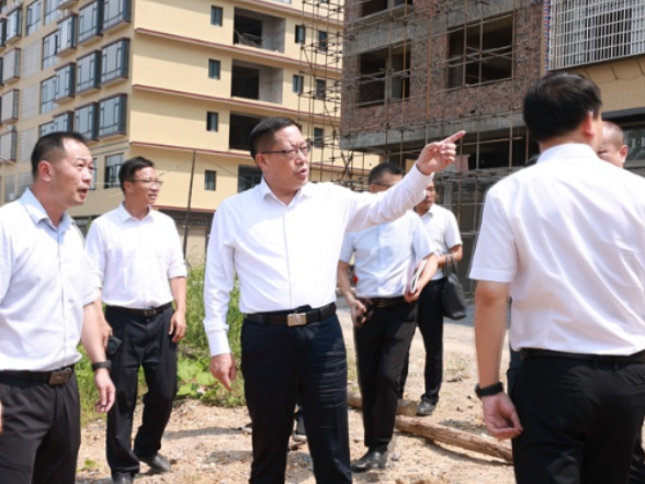 祁阳：蒋崇华调研督导生态环境问题整改工作