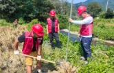 靖州：电信护航文溪乡丰产丰收
