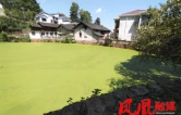 凤凰县高效推进省环保督察交办件整改
