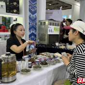 “湘”约茶博会 桑植白茶格外甜