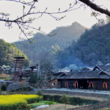 诗歌时刻丨张震宇:回望纯真岁月(组诗)