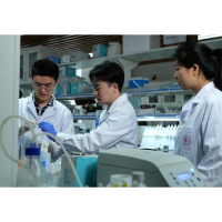 发挥高等教育龙头作用，服务国家战略