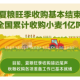 夏粮旺季收购基本结束 全国累计收购小麦1亿吨