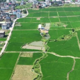 宜章县笆篱镇东风村：实干绘就和美乡村新画卷