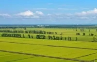 中国四部门：2030年农业保险体系总体达到国际先进水平