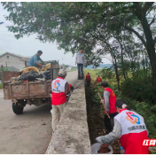 桃源县浔阳街道：突出协会主导 赋能秀美桃源建设