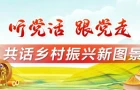 陈帅宇：扎根洞庭沃土 耕耘乡村振兴路