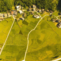 诗歌时刻丨蒲建雄：镜子在词语抵达的瞬间，碎成遥远的回响