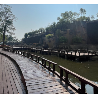 “湘”约雁城 共“商”盛会①｜珠晖区：巧手妆成满城景 花香一路待君来