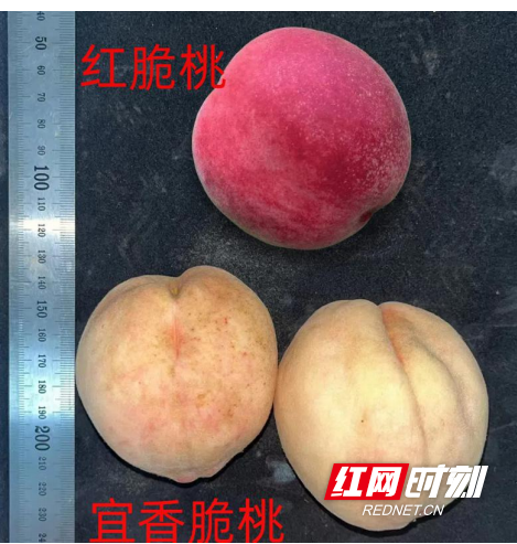 图片4.png