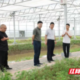 深农集团来君山区考察洽谈现代农业合作