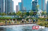 雨花区委书记蔡锋：二次创业，建设“五个新雨花”