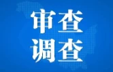 沅江市东方壹号学校原副校长皮健接受审查调查