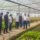 益阳市委党校(市行政学院)科干八班学员赴乡镇开展实地调研