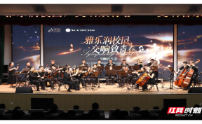 雅韵三湘丨交响乐进校园，这堂美育课有点“上头”