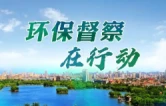 双峰县领导到印塘乡督导生态环境保护及重点信访交办件“回头看”工作